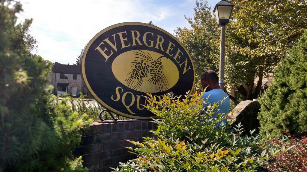 evergreen square