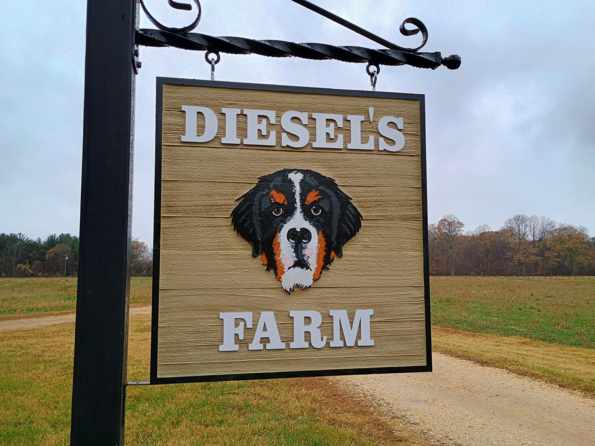 Sandblasted cedar farm sign for Diesel's Farm with hand-painted dog portrait